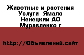 Животные и растения Услуги. Ямало-Ненецкий АО,Муравленко г.